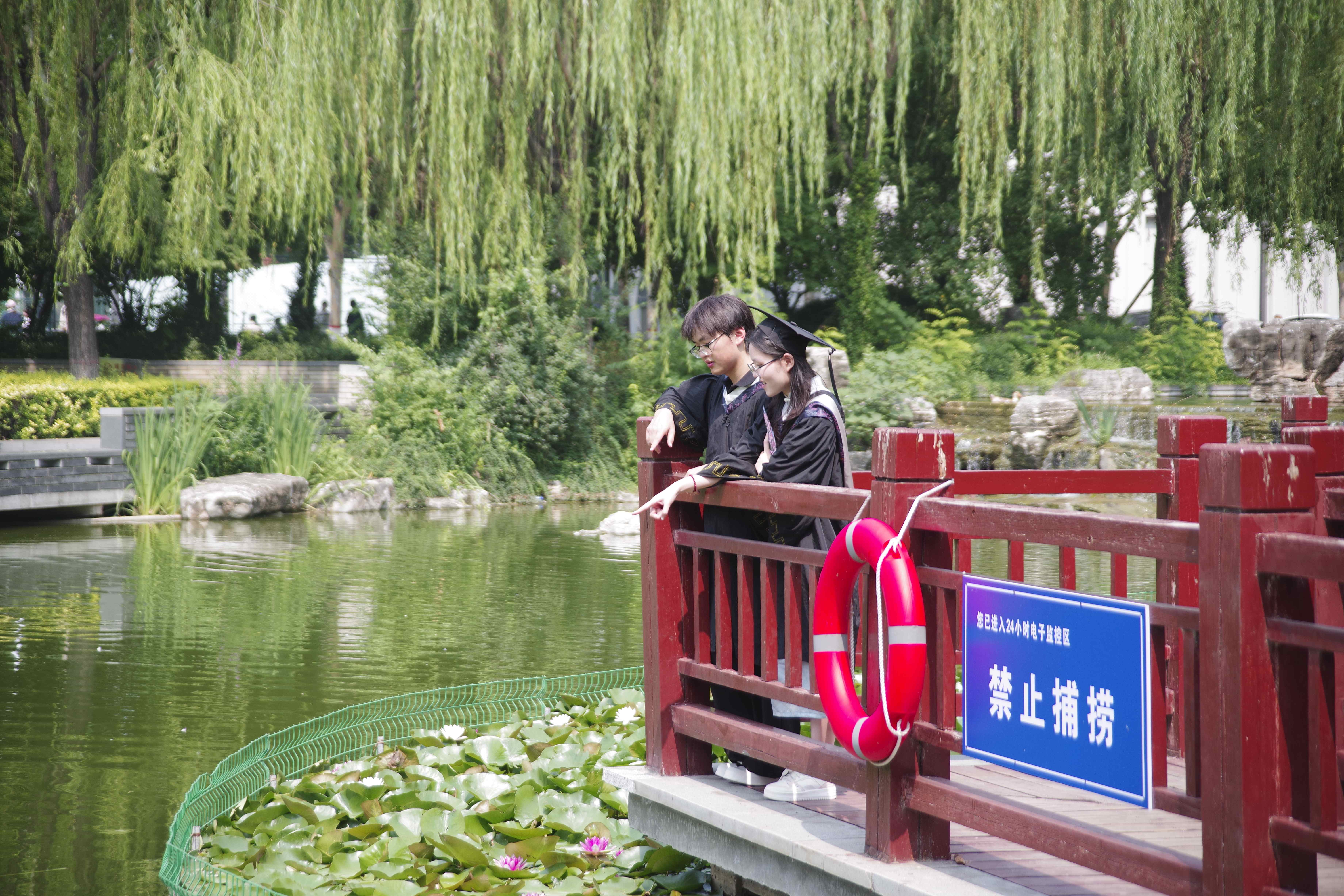 校园碎片